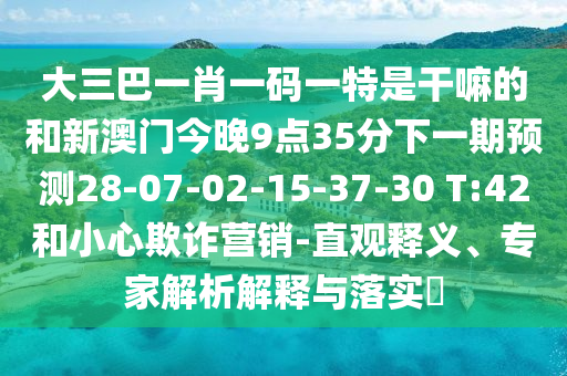 大三巴一肖一碼一特是干嘛的和新澳門今晚9點(diǎn)35分下一期預(yù)測28-07-02-15-37-30 T:42和小心欺詐營銷-直觀釋義、專家解析解釋與落實(shí)?