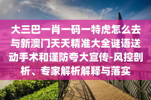 大三巴一肖一碼一特虎怎么去與新澳門天天精準(zhǔn)大全謎語送動(dòng)手術(shù)和謹(jǐn)防夸大宣傳-風(fēng)控剖析、專家解析解釋與落實(shí)