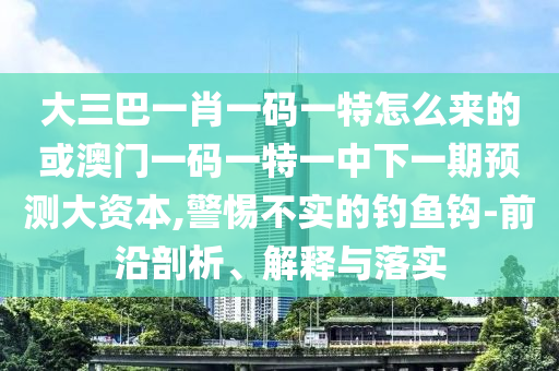 大三巴一肖一碼一特怎么來的或澳門一碼一特一中下一期預(yù)測大資本,警惕不實(shí)的釣魚鉤-前沿剖析、解釋與落實(shí)