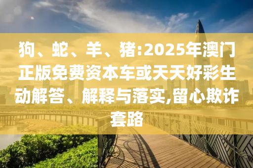 狗、蛇、羊、豬:2025年澳門正版免費(fèi)資本車或天天好彩生動(dòng)解答、解釋與落實(shí),留心欺詐套路