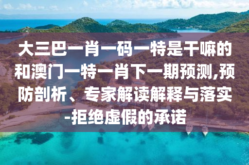 大三巴一肖一碼一特是干嘛的和澳門一特一肖下一期預(yù)測,預(yù)防剖析、專家解讀解釋與落實-拒絕虛假的承諾