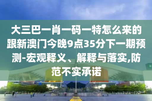 大三巴一肖一碼一特怎么來(lái)的跟新澳門今晚9點(diǎn)35分下一期預(yù)測(cè)-宏觀釋義、解釋與落實(shí),防范不實(shí)承諾