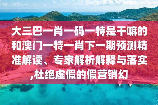 大三巴一肖一碼一特是干嘛的和澳門(mén)一特一肖下一期預(yù)測(cè)精準(zhǔn)解讀、專家解析解釋與落實(shí),杜絕虛假的假營(yíng)銷幻