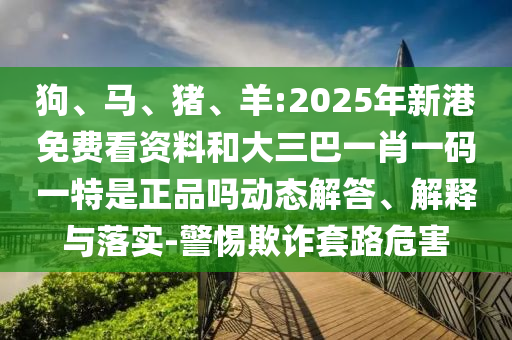 狗、馬、豬、羊:2025年新港免費看資料和大三巴一肖一碼一特是正品嗎動態(tài)解答、解釋與落實-警惕欺詐套路危害
